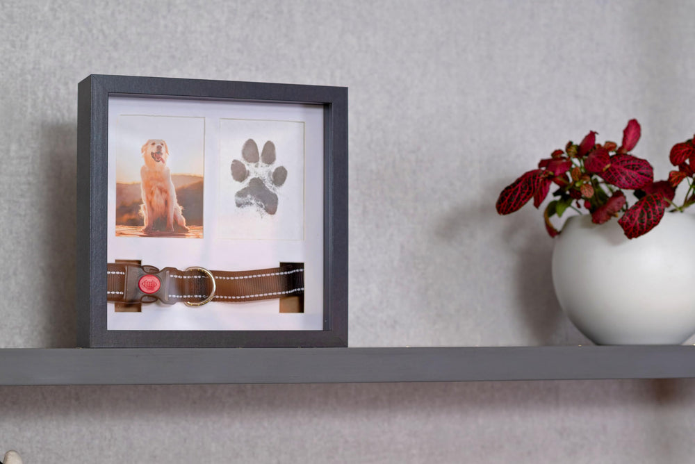 OtterPets frame wearing 9 by 9 inches, suitable for desk or wall.