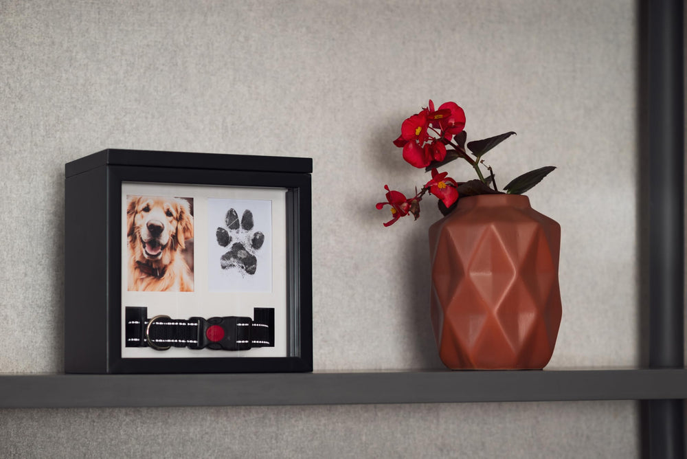 OtterPets photo-collar-pawprint display highlighting a personalized tribute