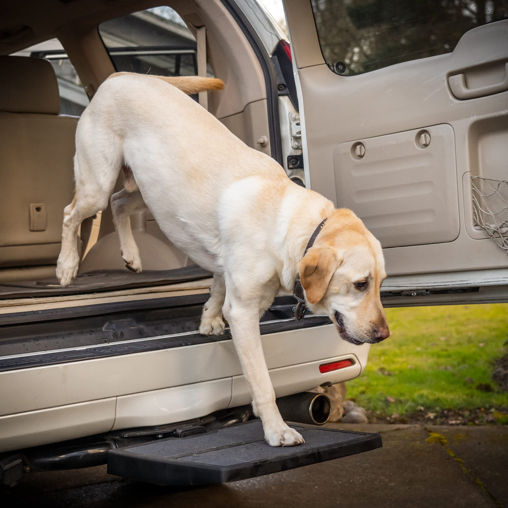 Otto Step pet ramp platform in car for easy, safe pet entry