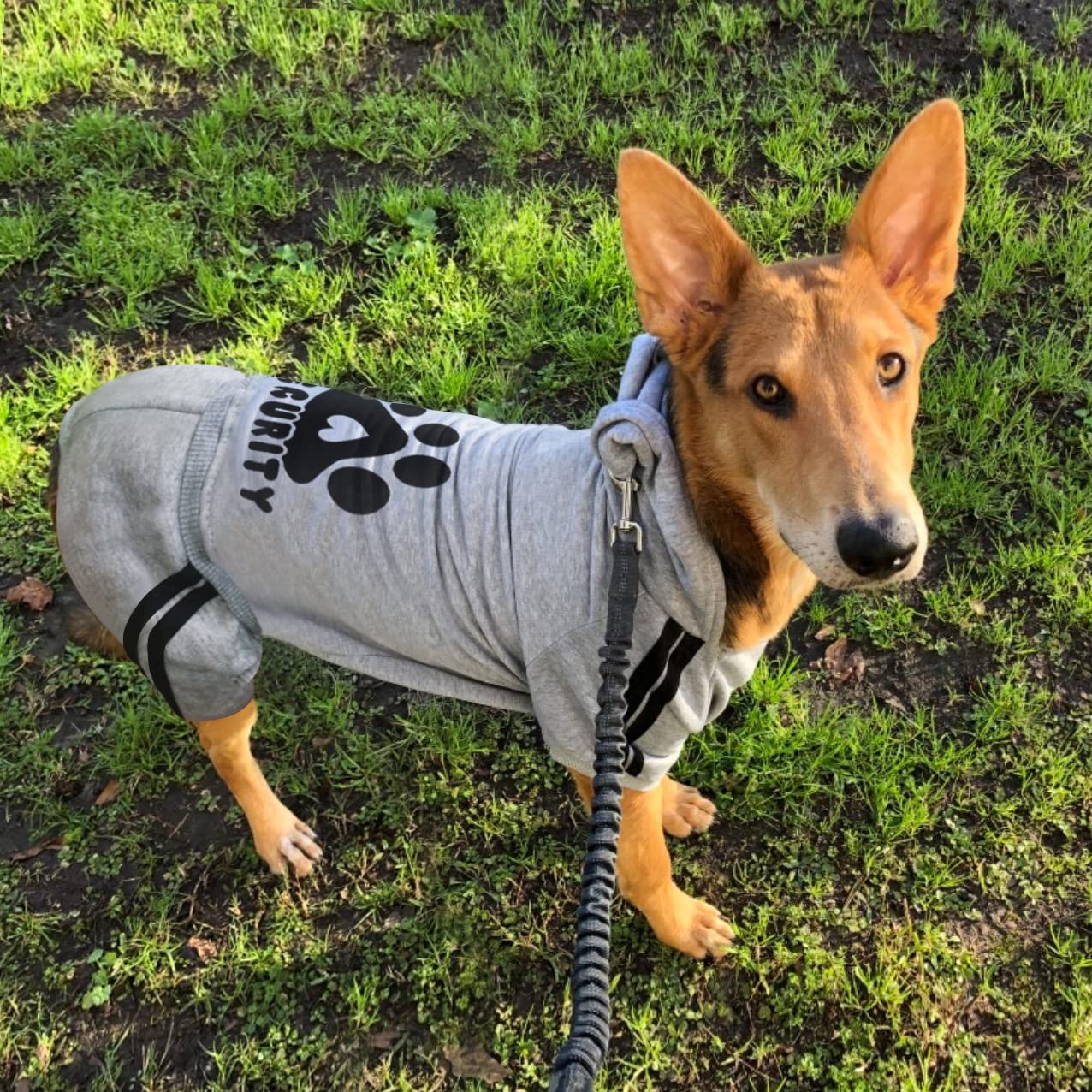 Otunrues dog hoodie with snap closure for easy on-off
