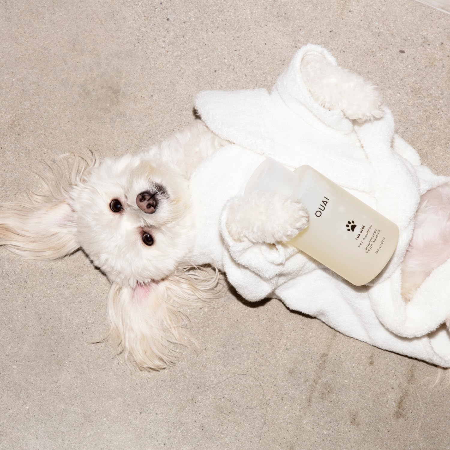 OUAI Fur Bébé 16 oz packaging with Mercer Street scent