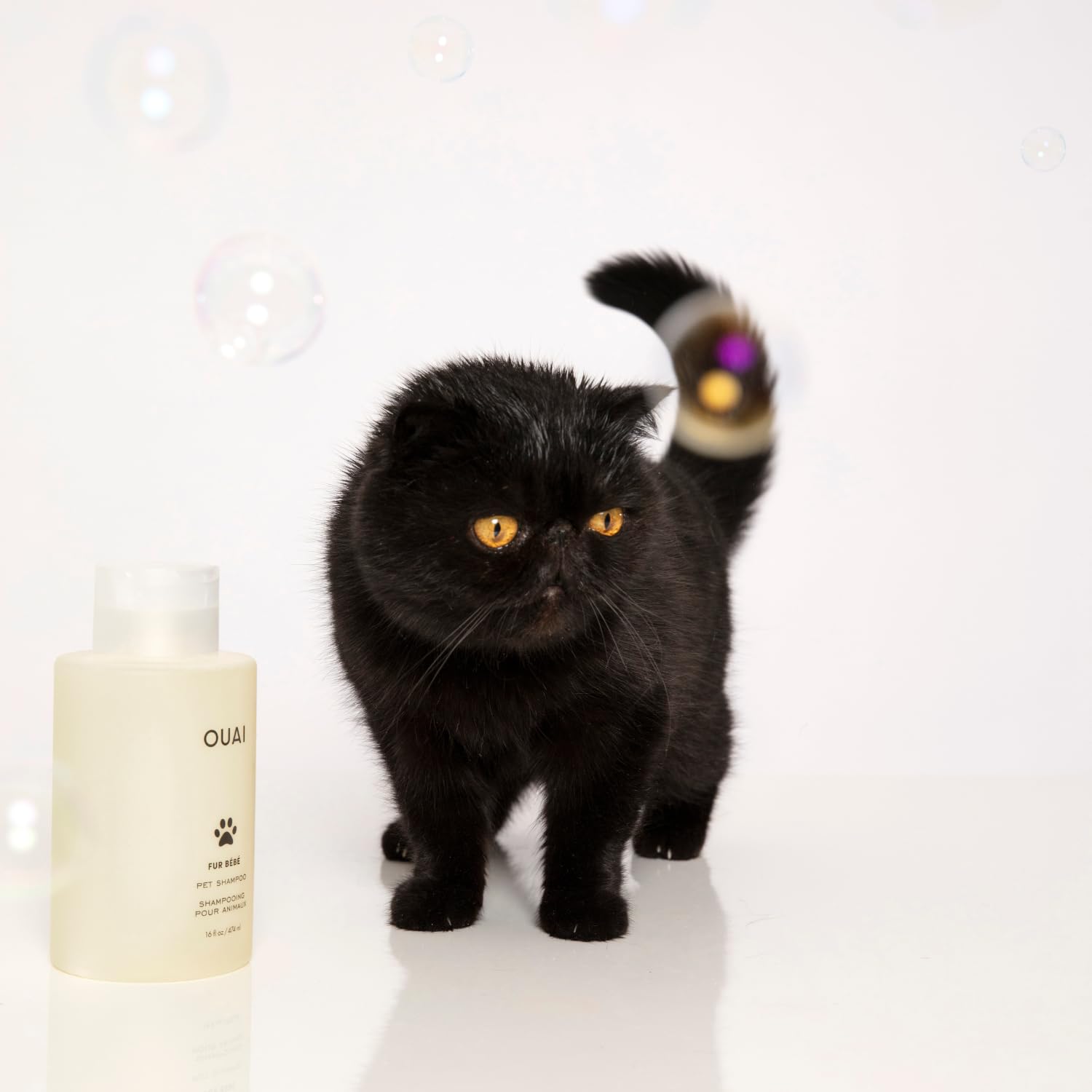 Dog owner grooming with OUAI Fur Bébé for an effortless routine