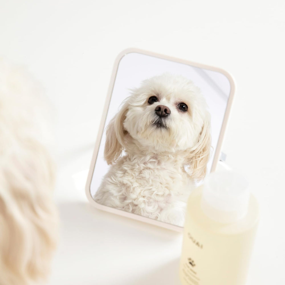 Hydrolyzed vegetable protein reinforces fur strength with OUAI Fur Bébé