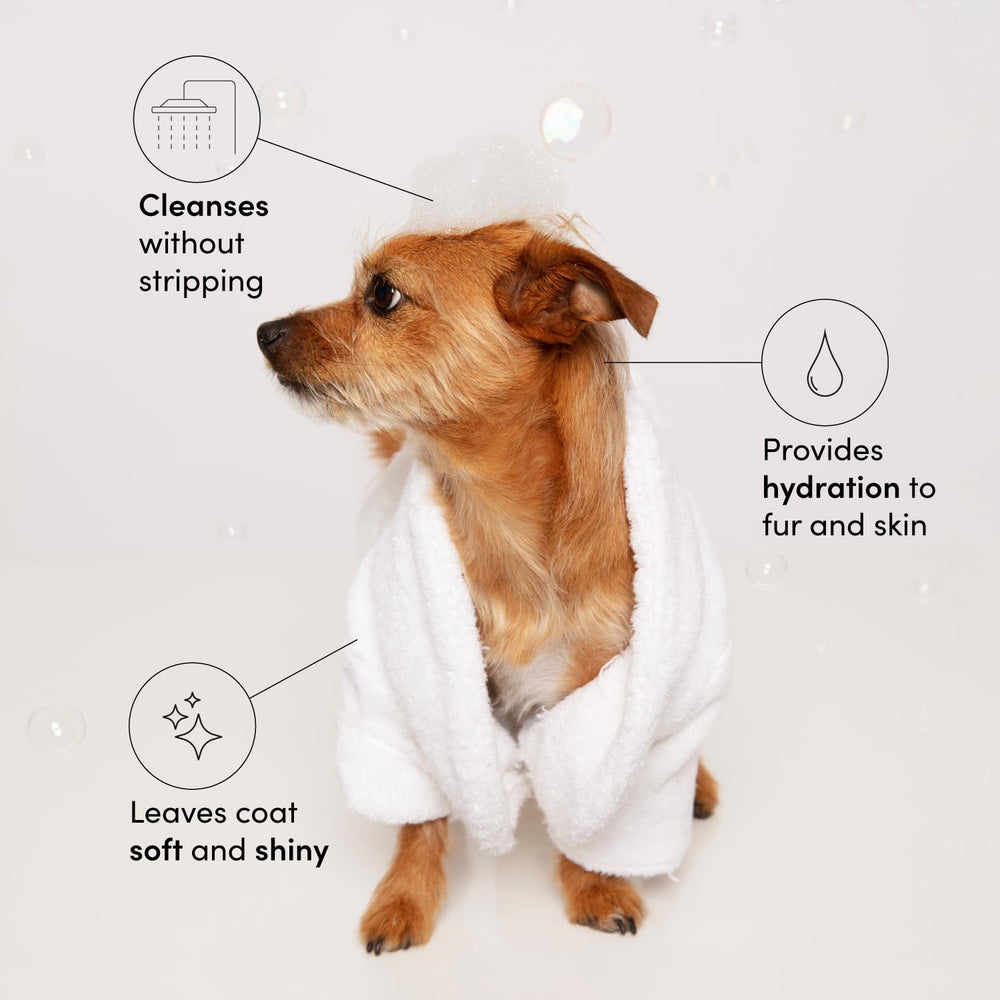 OUAI Fur Bébé lather on a dog's coat to cleanse and refresh