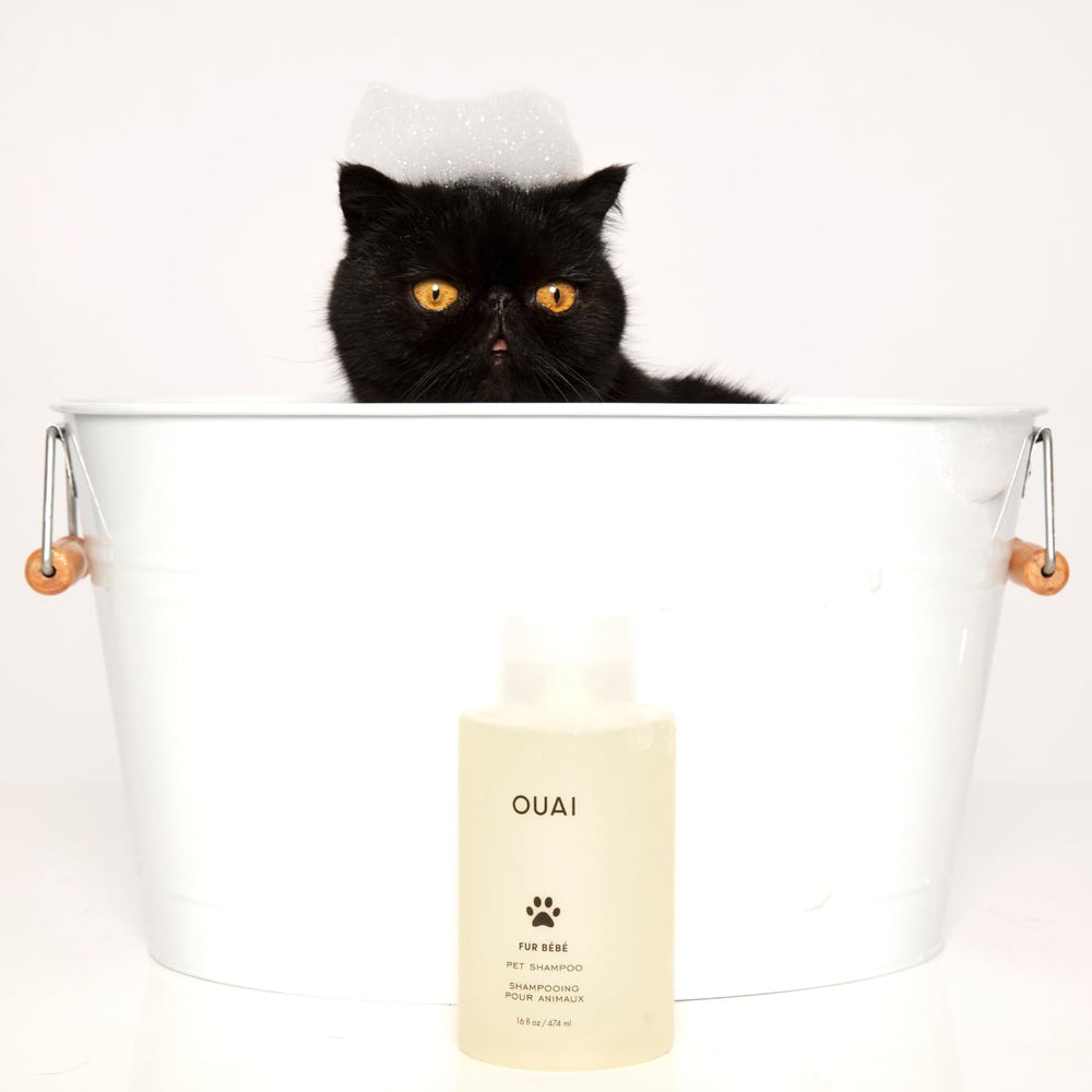 Panthenol near OUAI Fur Bébé delivers a shiny finish