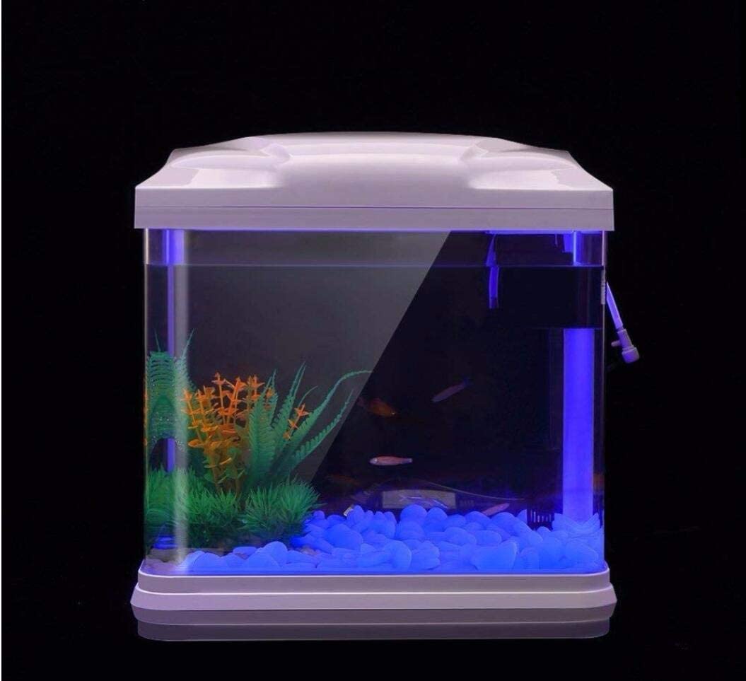 Oubest Glow Rocks blue decor for bonsai highlights night-time details.