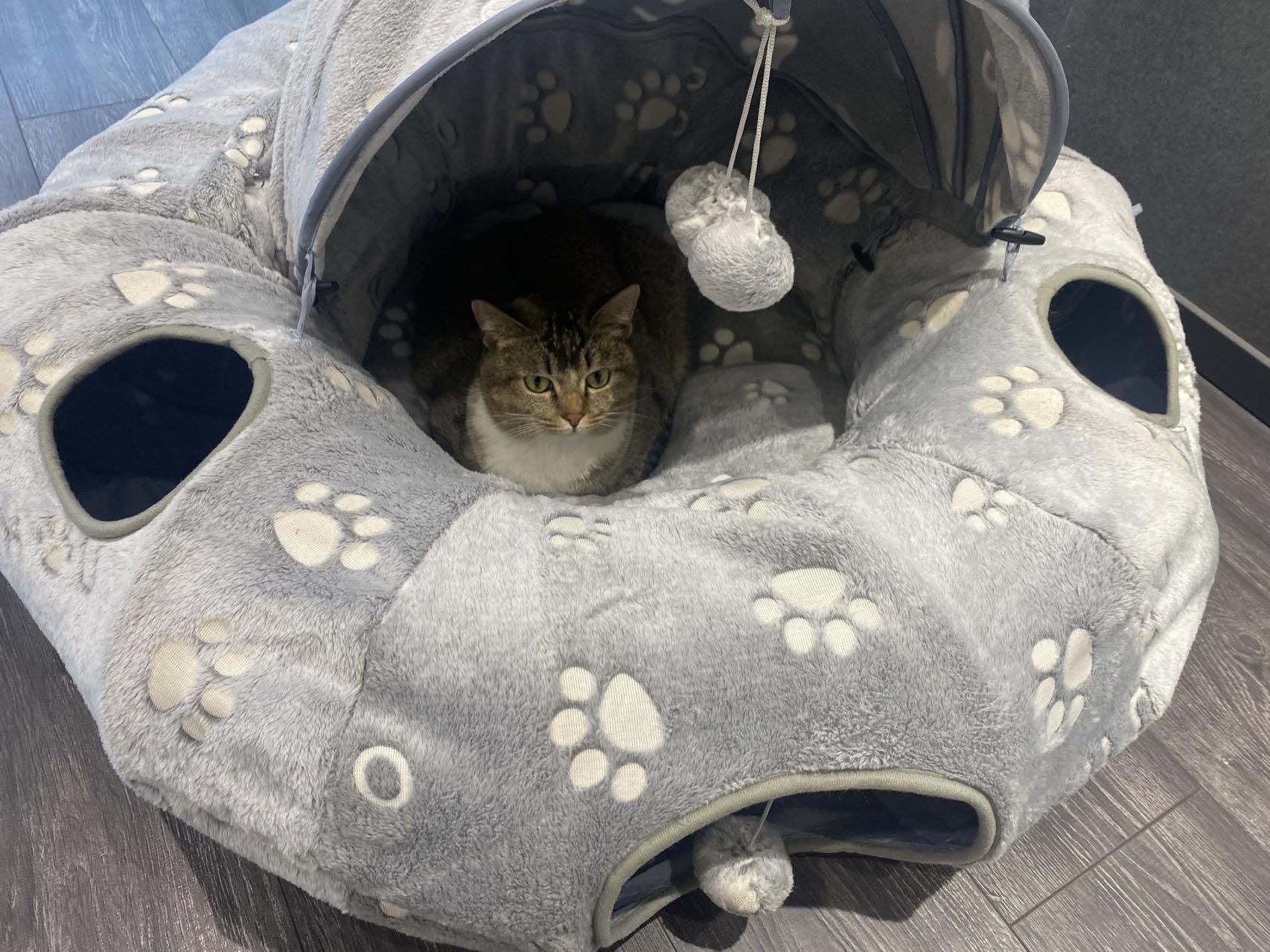 OUHOU glow-in-the-dark cat tunnel for night-time exploration