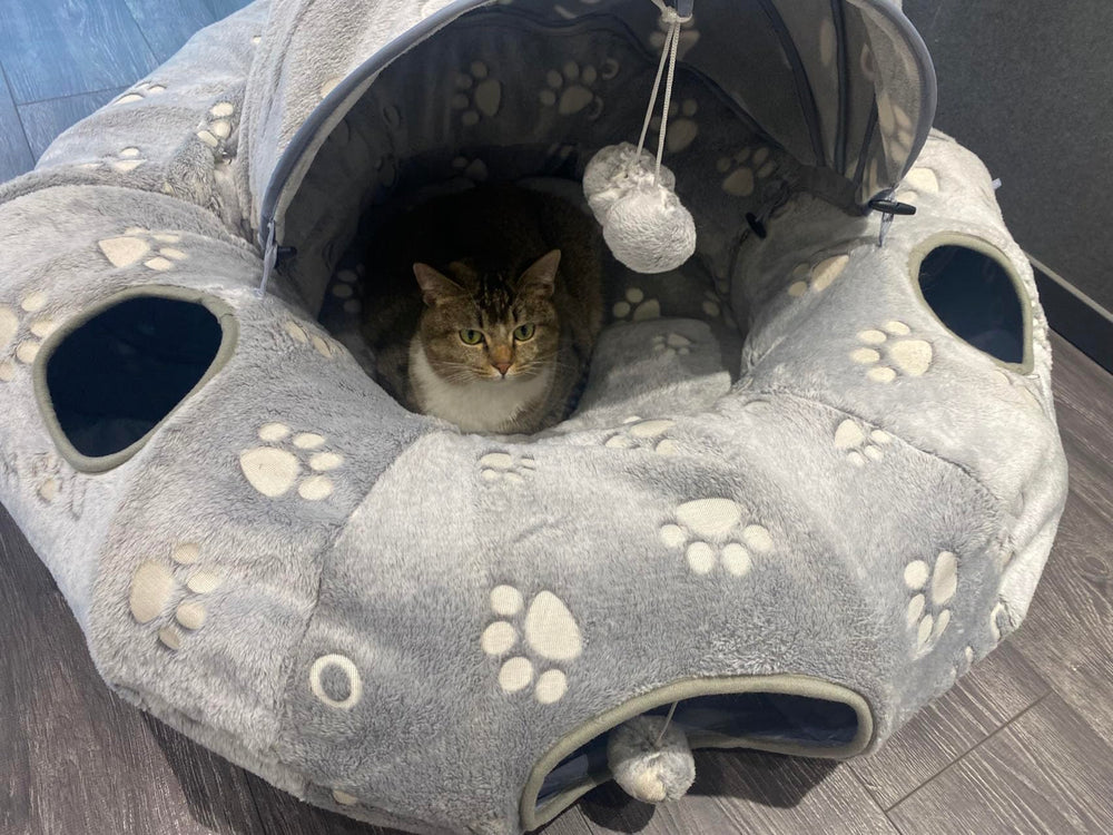 OUHOU glow-in-the-dark cat tunnel for night-time exploration