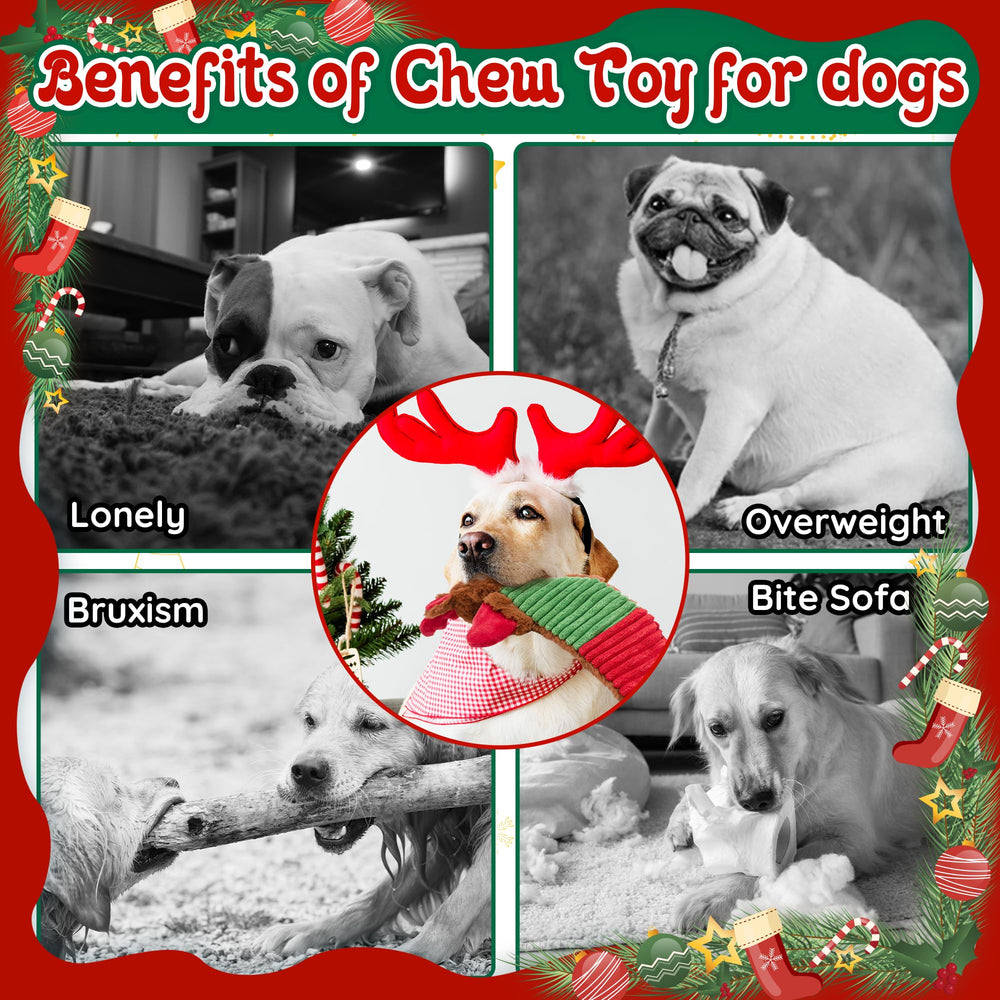 Ousiya no-stuffing dog toy designed for aggressive chewers during play sessions.