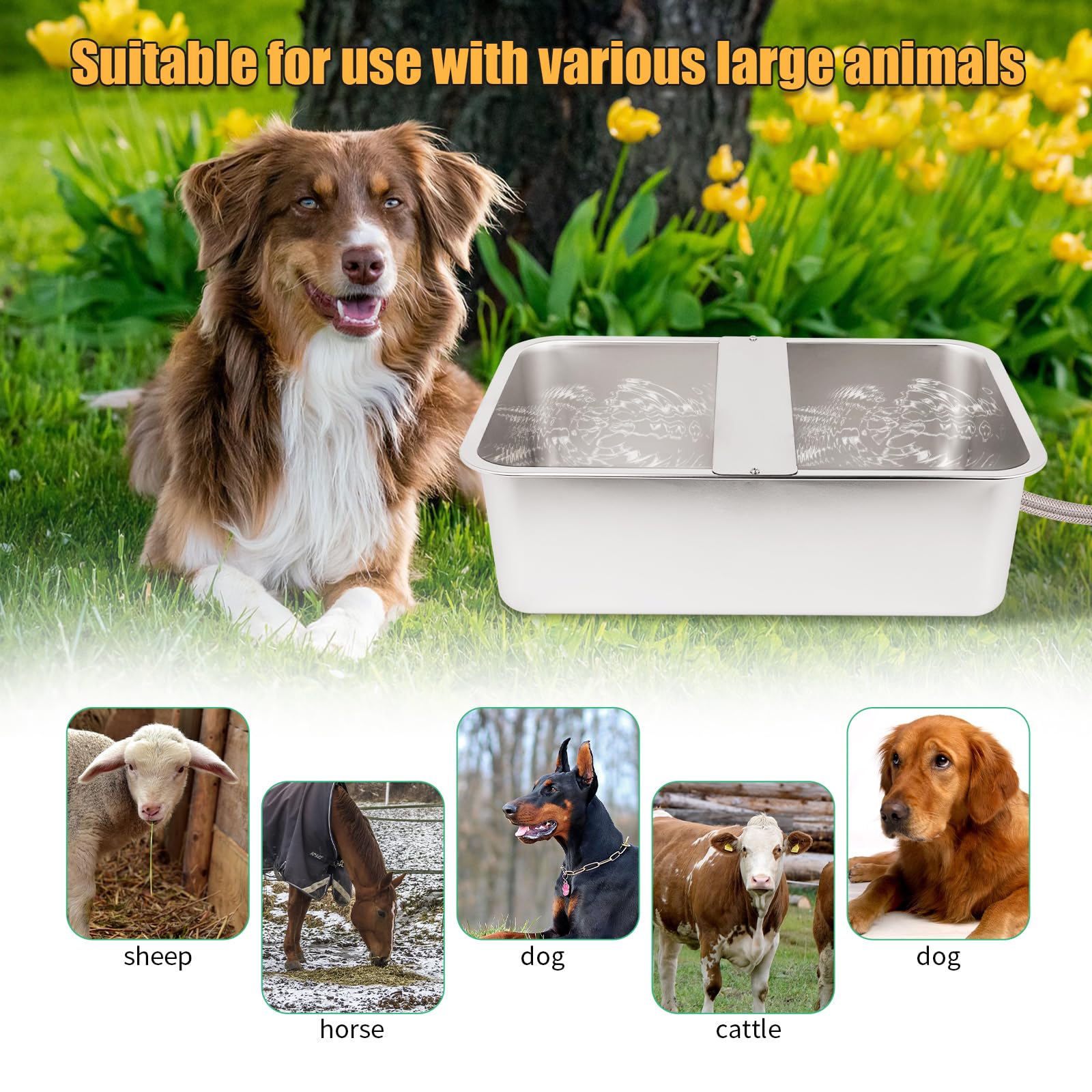 OUJIMAI dual-sided trough for large dogs on a farm.