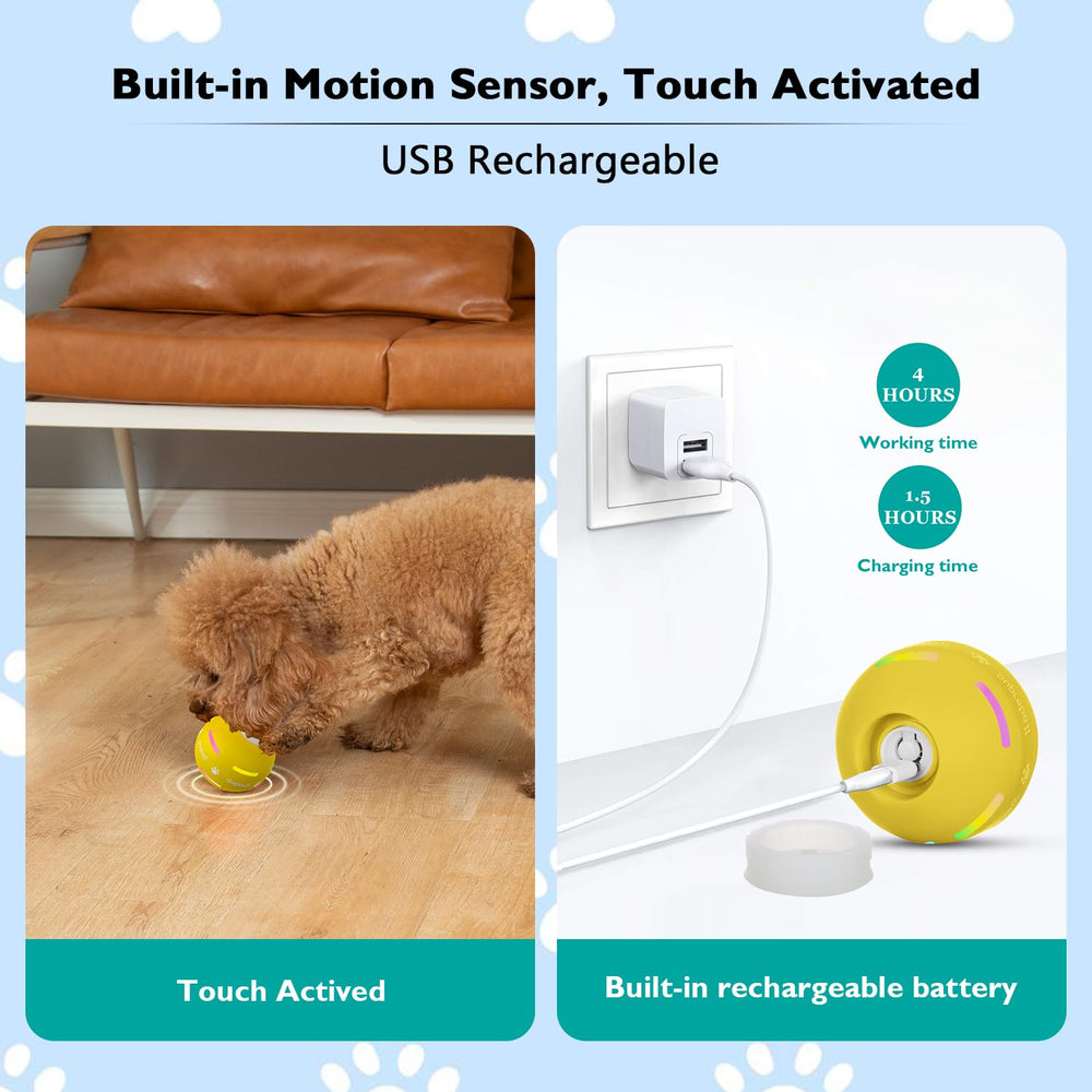 OULUXYLS dog ball with flashing lights attracts dogs during playtime.