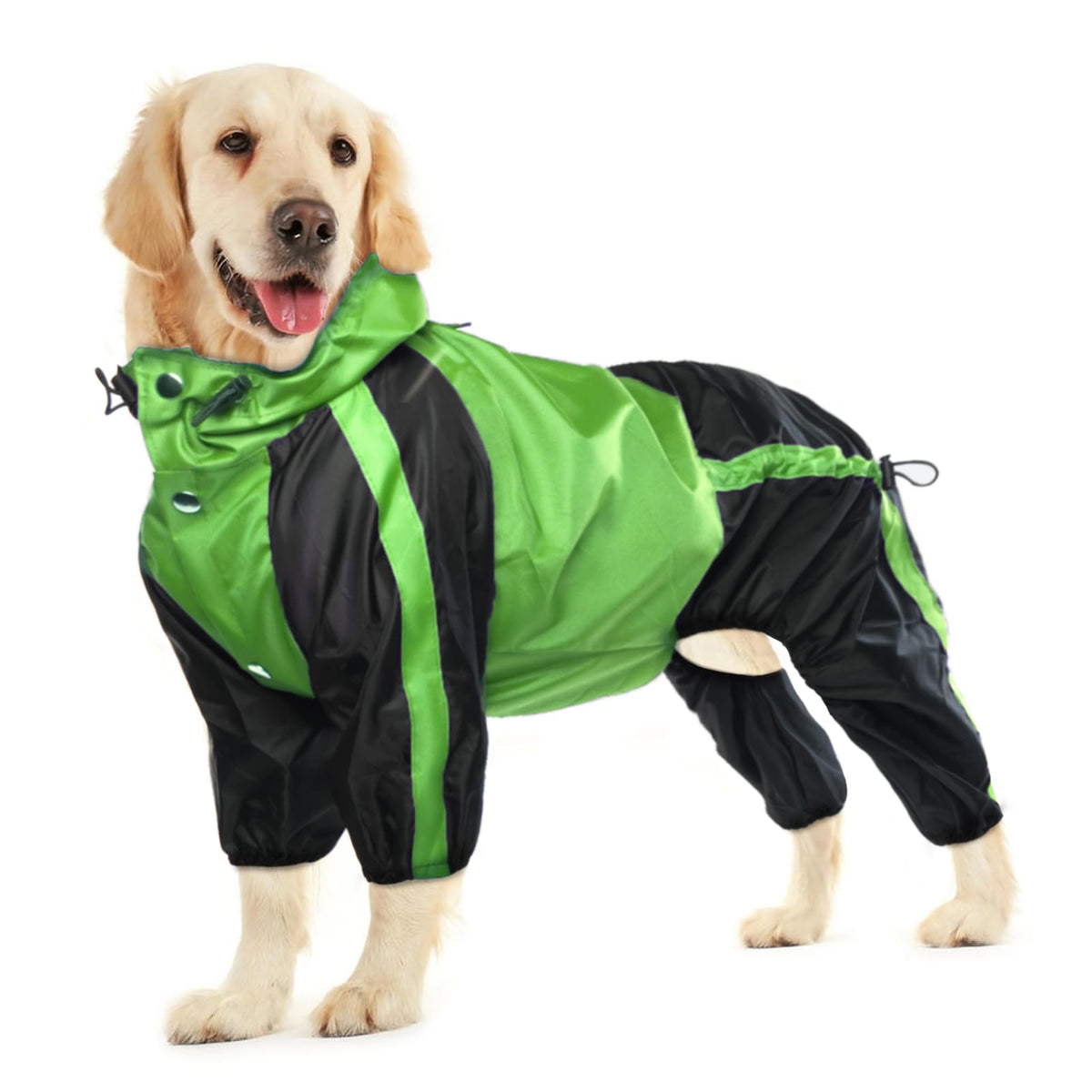 OUOBOB dog rain jacket hood on the dog for rain coverage.