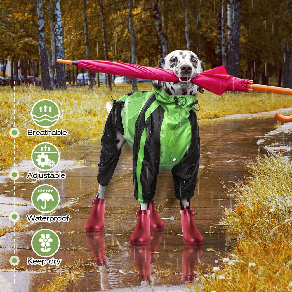 OUOBOB dog wearing rain jacket during a walk in the rain.