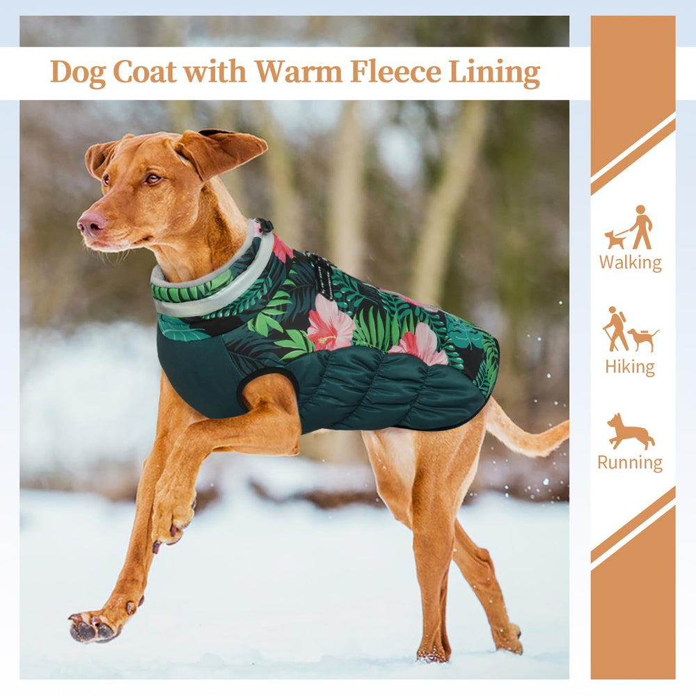 OUOBOB back zipper feature makes on/off simple for active dogs