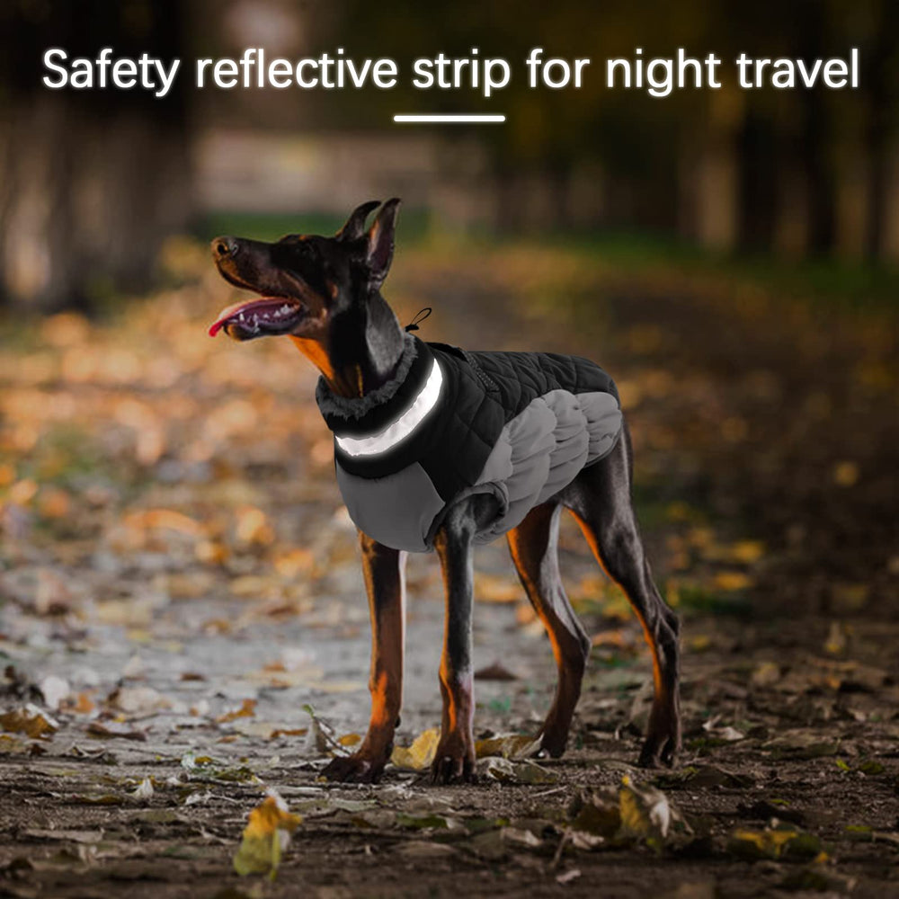 OUOBOB D-ring leash attachment enables secure, ready-to-walk setup.