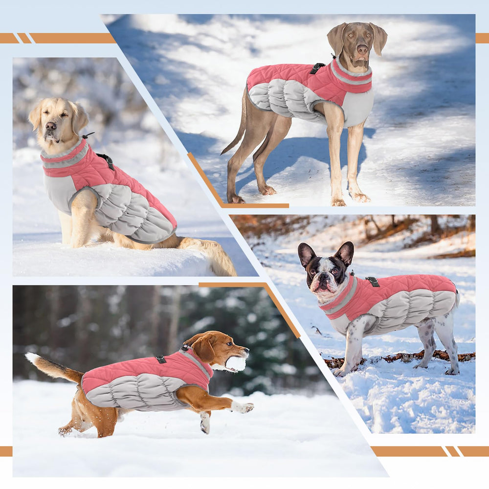 OUOBOB lightweight dog coat with D-ring leash attachment