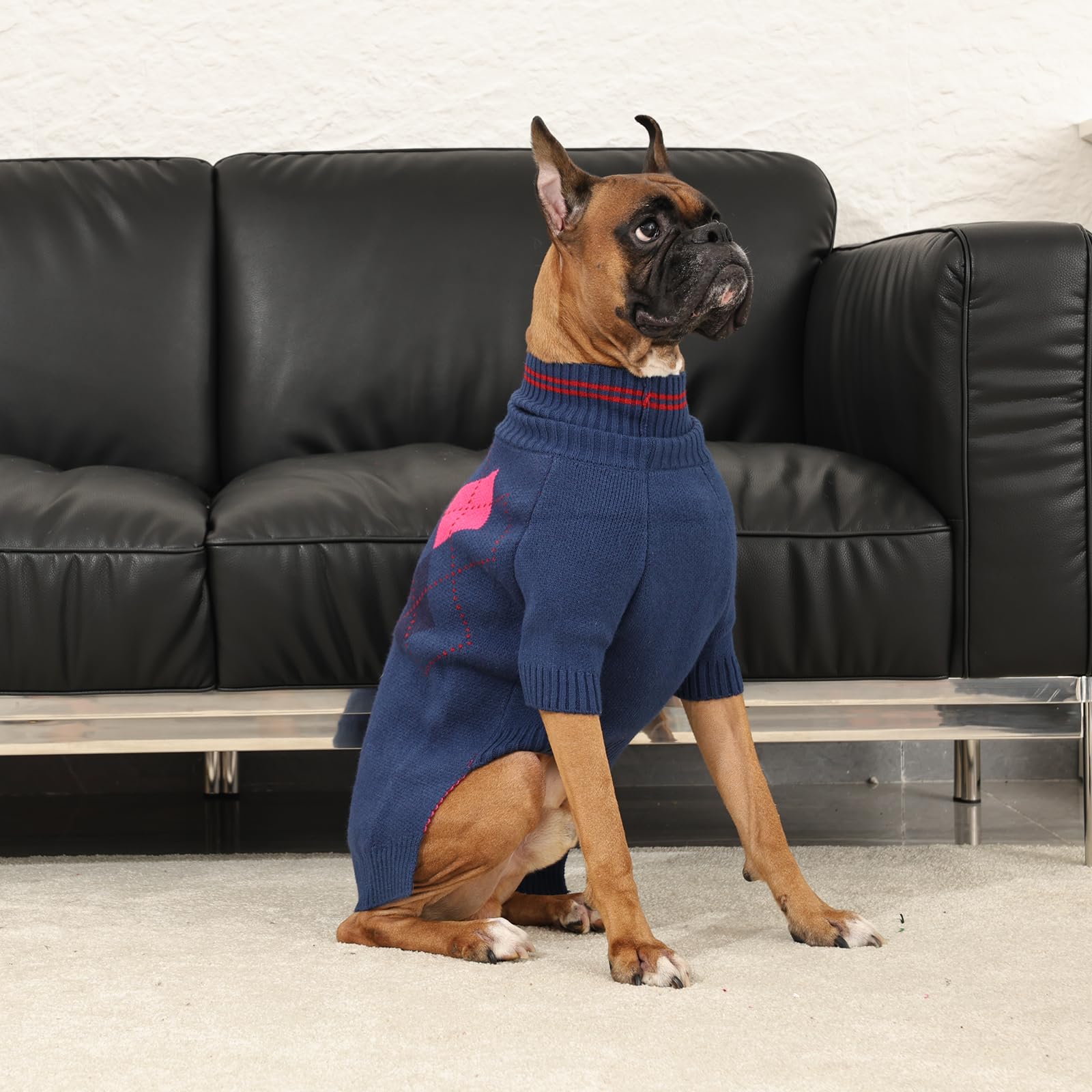 OUOBOB dog sweater blue warm back detail with two-tone knit