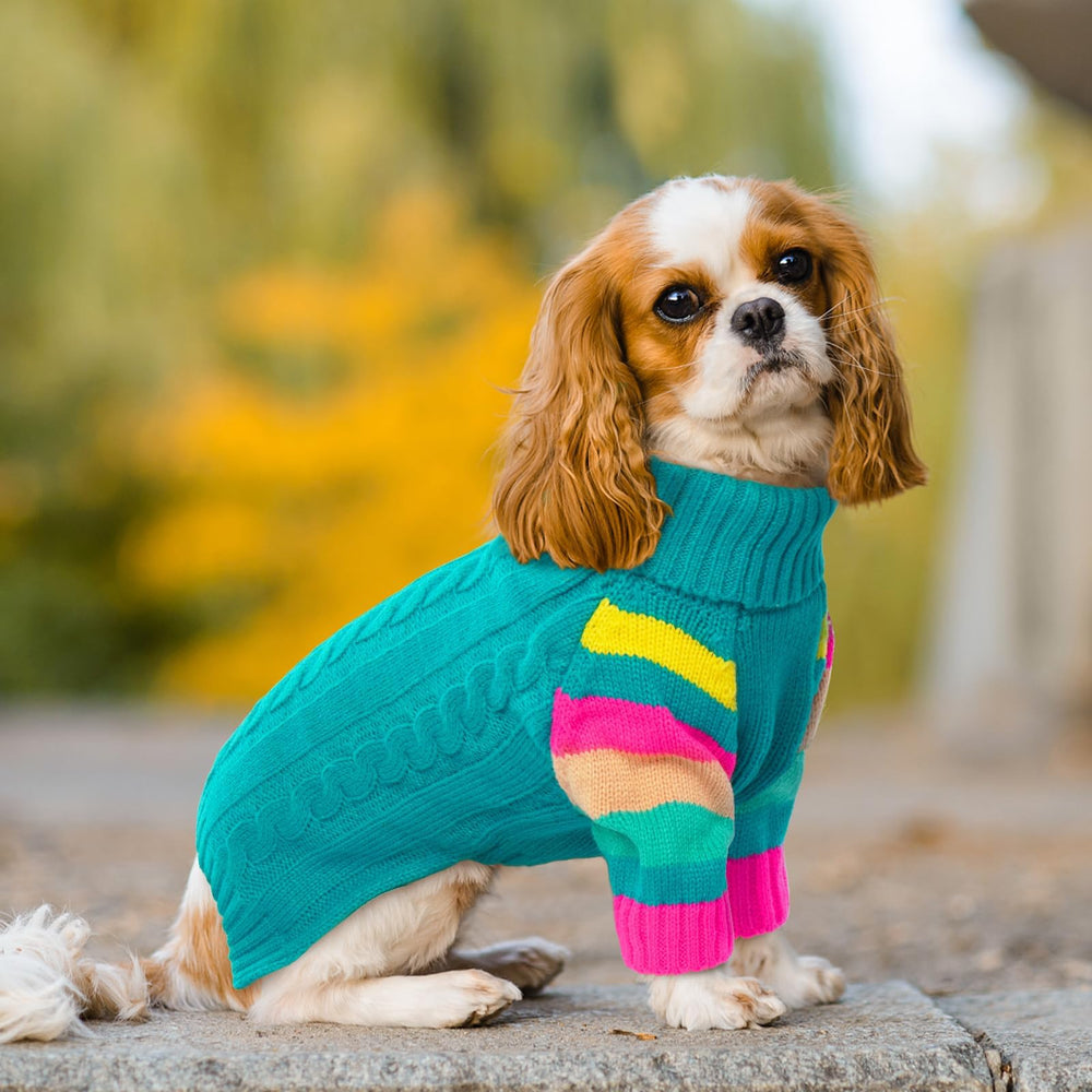 OUOBOB dog sweater green-knit closeup soft fabric and stretchy knit
