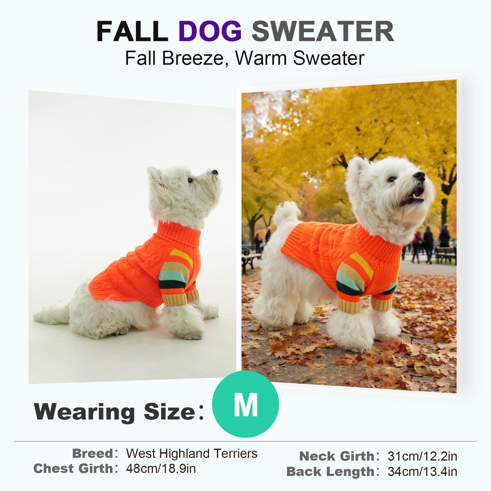 OUOBOB dog sweater orange knit on dog-walking scene demonstrates all-day comfort.