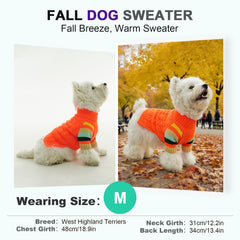 OUOBOB dog sweater orange knit on dog-walking scene demonstrates all-day comfort.