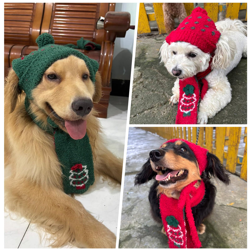 OUOBOB dog winter costume enhances festive vibes at family gatherings.