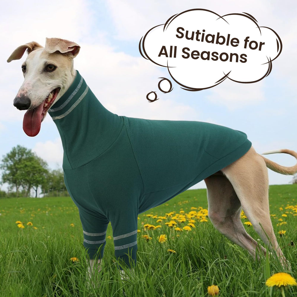 OUOBOB Greyhound neck-detail shows snug fit for indoor and outdoor wear.