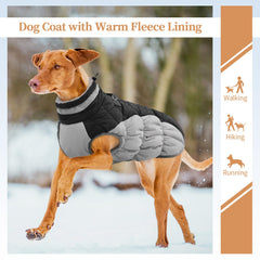 OUOBOB reflective strips improve visibility during night or dawn walks.