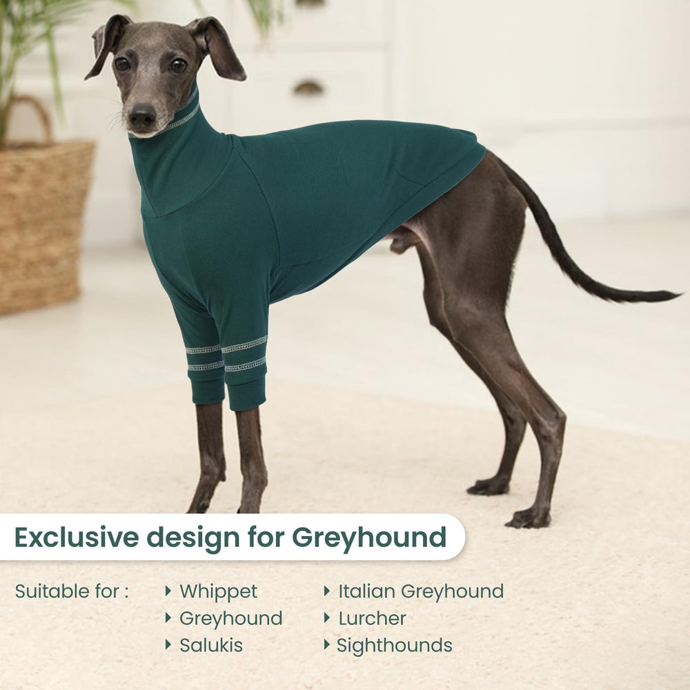 OUOBOB Small dog pullover close-up demonstrates high neck warmth and protection.