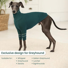 OUOBOB Small dog pullover close-up demonstrates high neck warmth and protection.