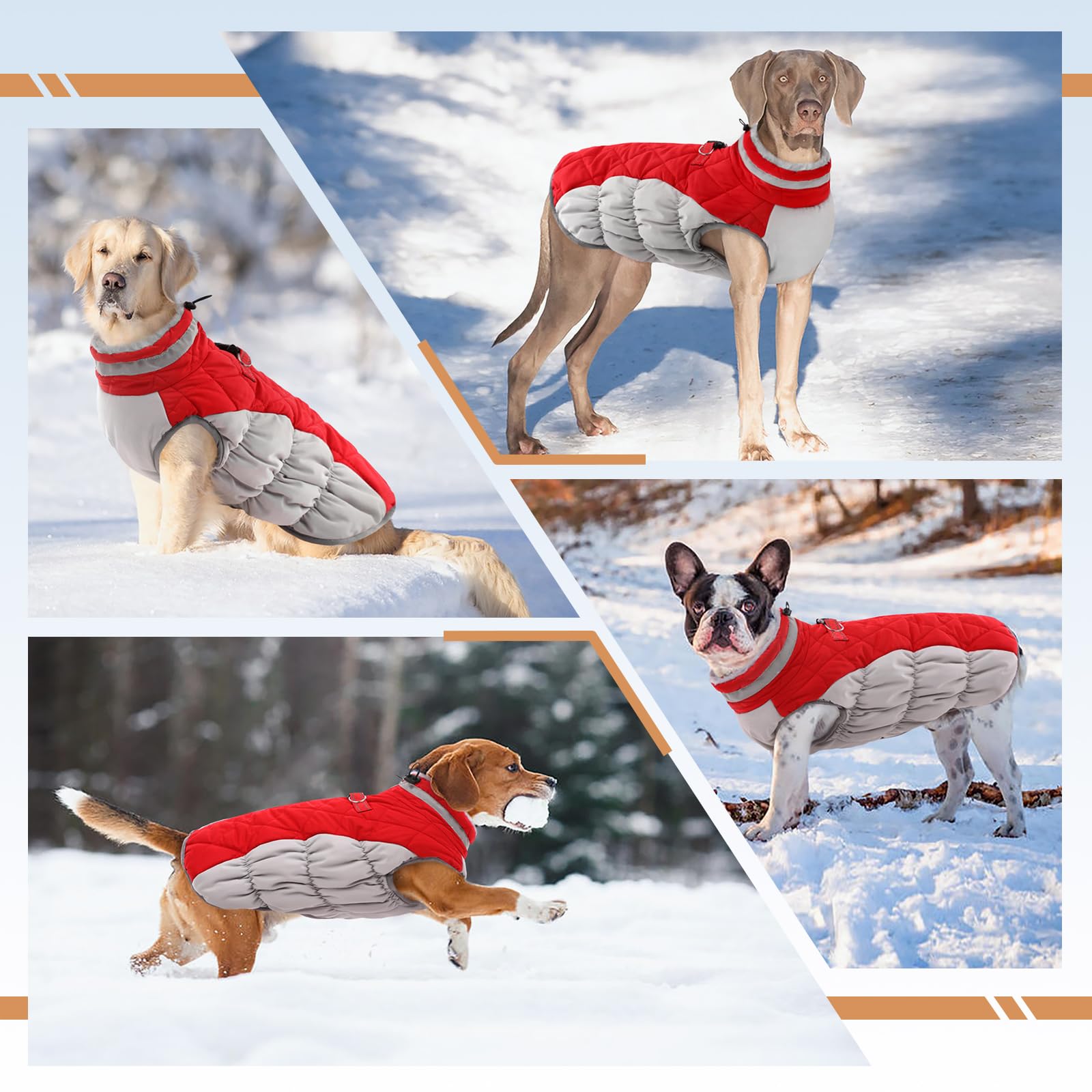 OUOBOB harness-ready design with built-in D-ring for leashing.