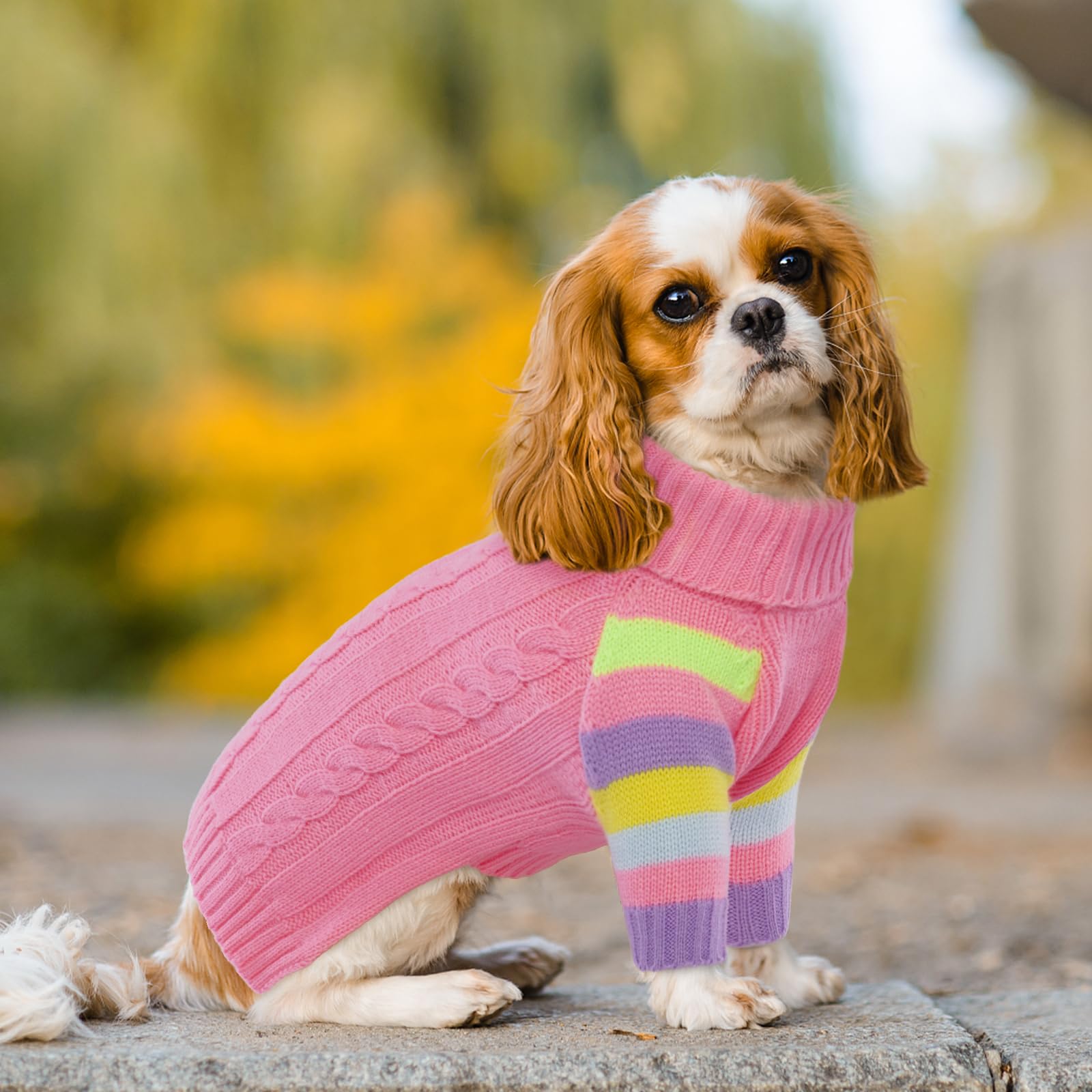 OUOBOB XLarge dog sweater features Christmas-style pattern for cute holiday photos