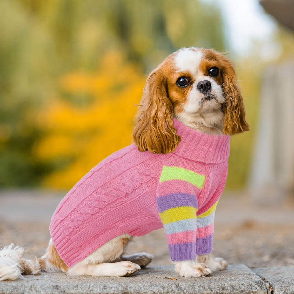 OUOBOB XLarge dog sweater features Christmas-style pattern for cute holiday photos