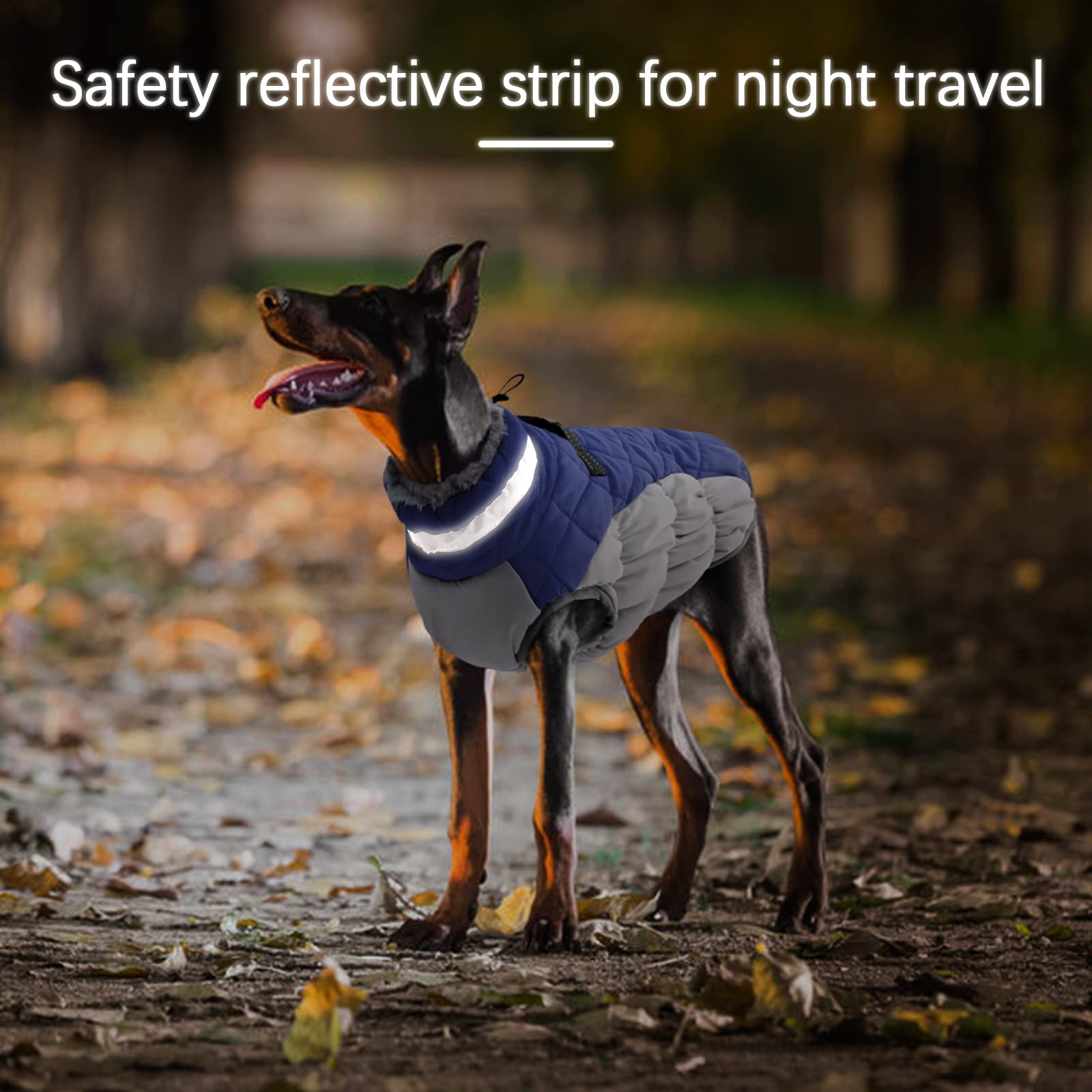 OUOBOB waterproof blue dog jacket keeps rain and snow away.