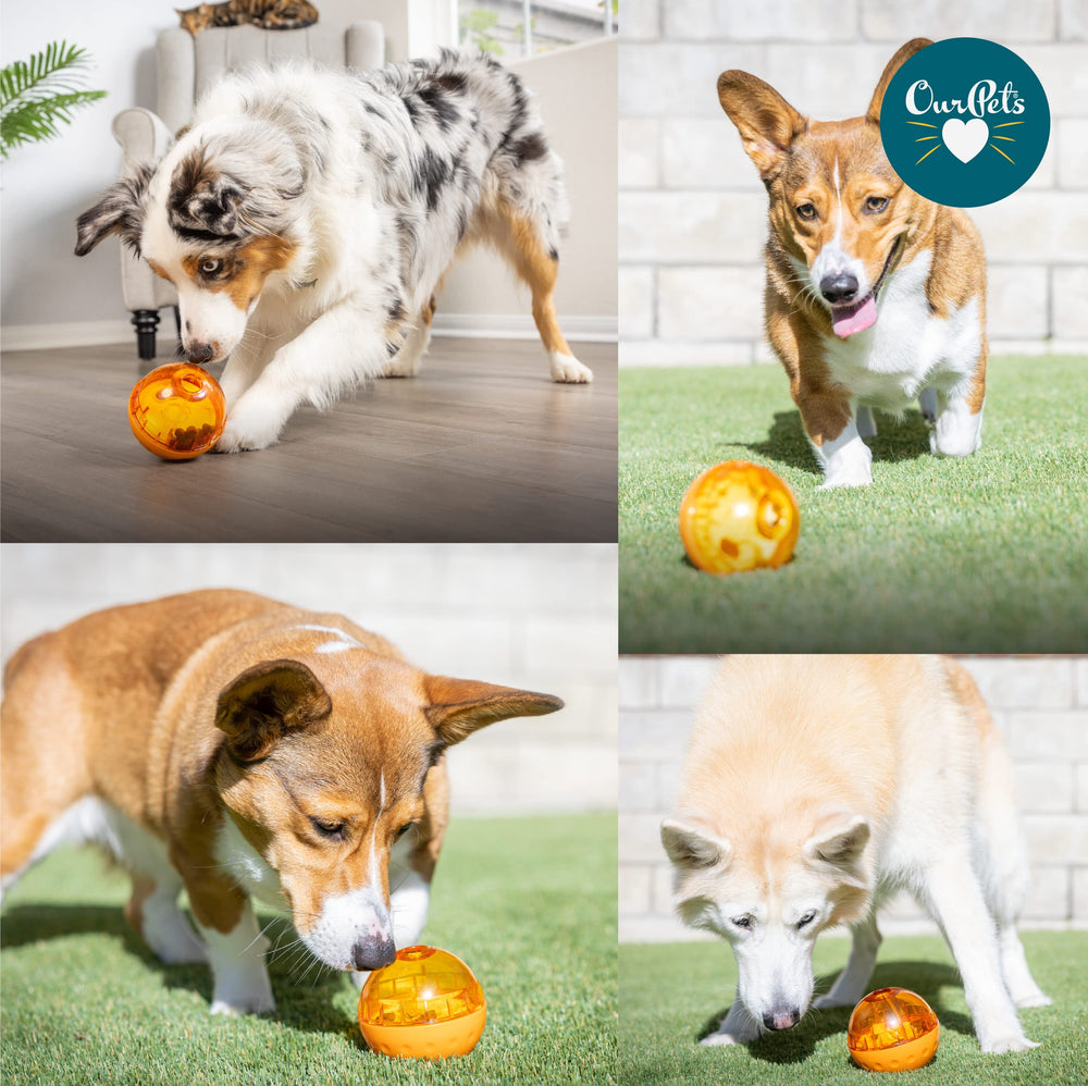 Our Pets IQ Treat Ball: entretenimiento saludable que fomenta movimiento y atención