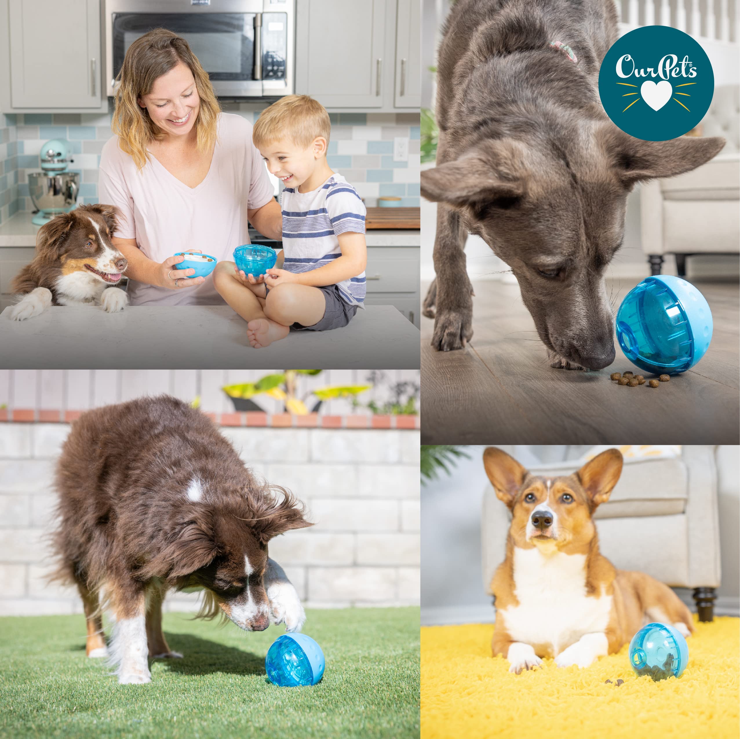 Our Pets IQ Treat Ball slow-feeding focus demonstrates mindful eating during reward play.
