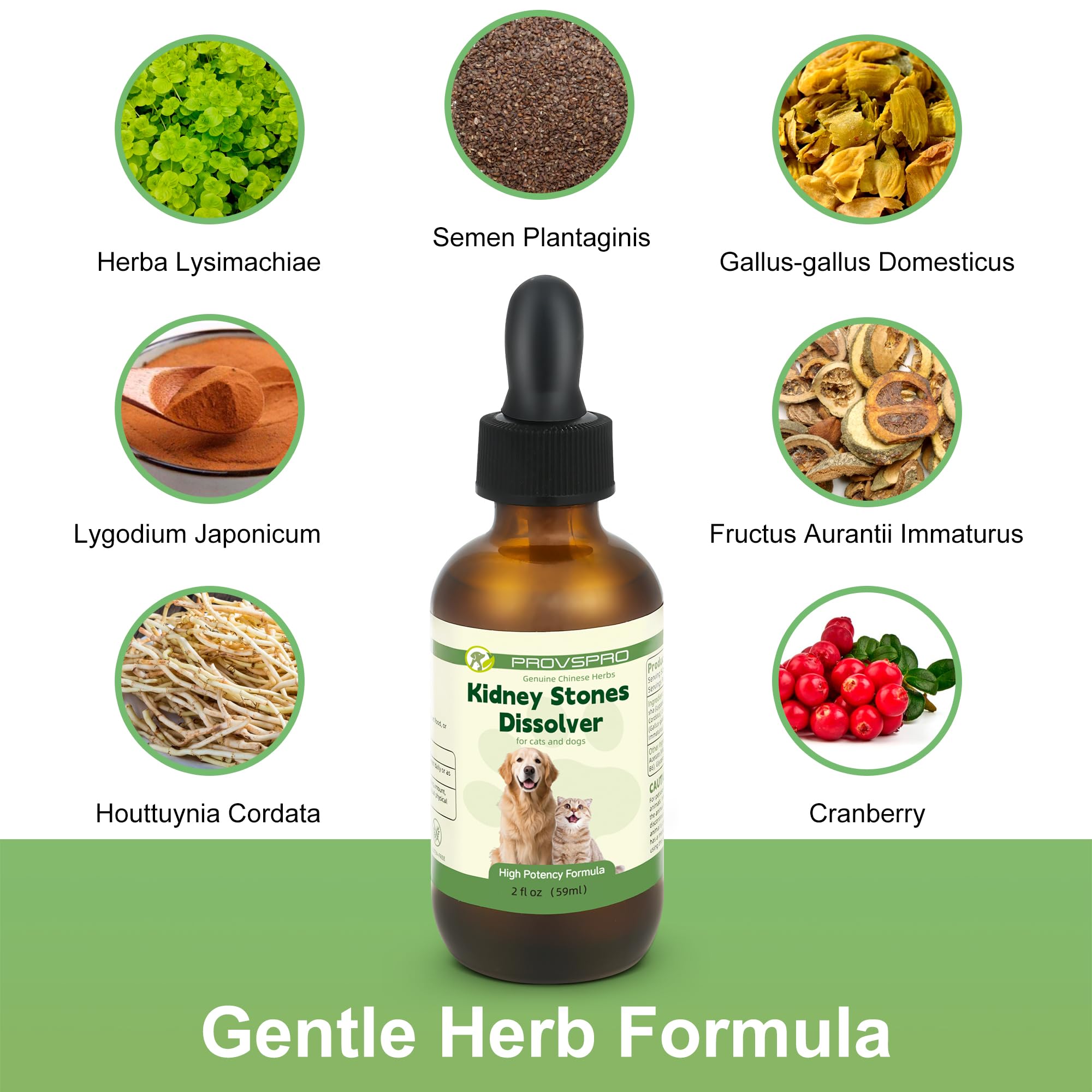 Ourea cranberry-herbal-bladder-support highlights natural ingredients aiding urinary comfort