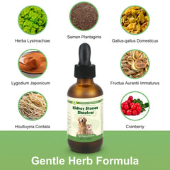 Ourea cranberry-herbal-bladder-support highlights natural ingredients aiding urinary comfort