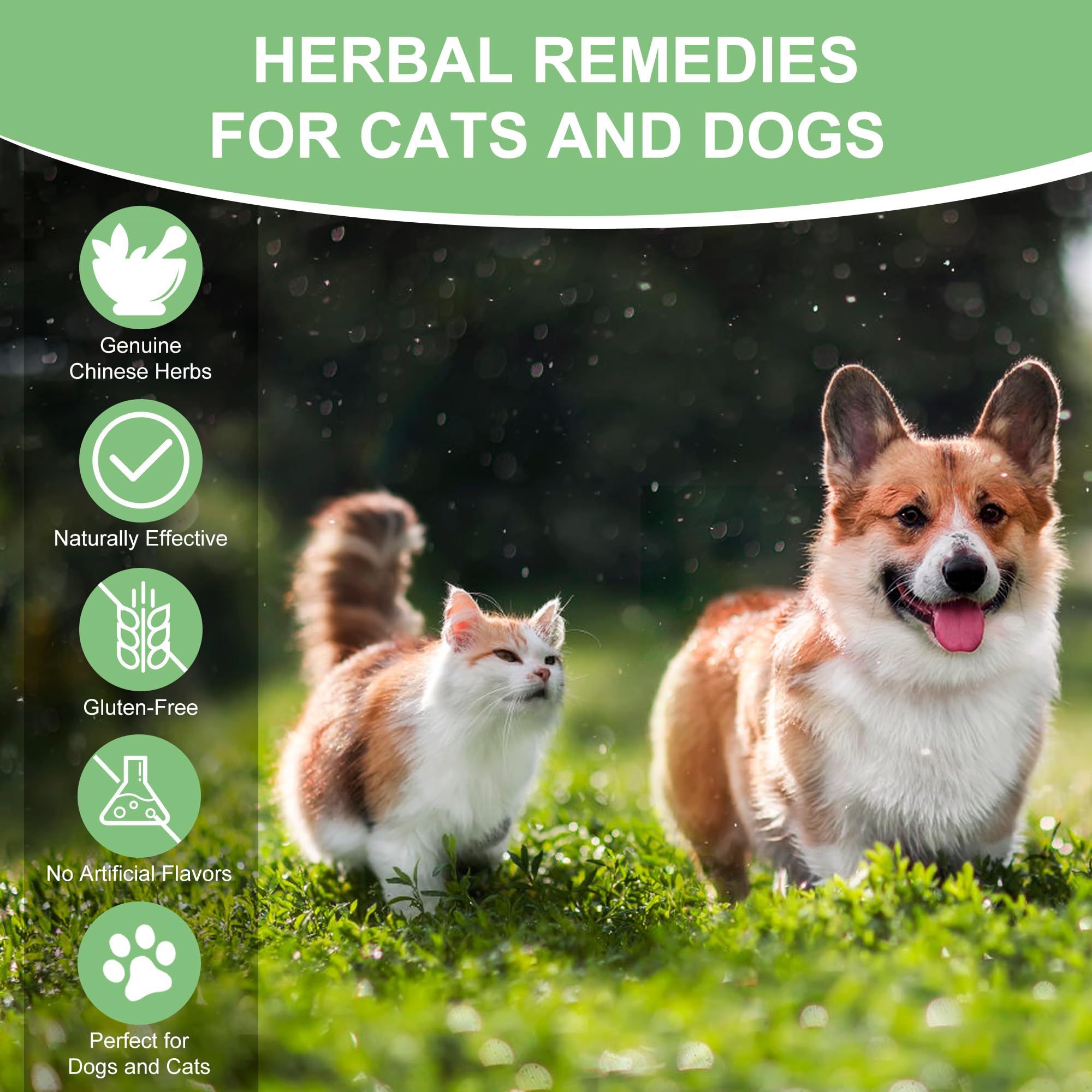 Ourea urinary-health-support-cat-dog demonstrates supportive urinary function