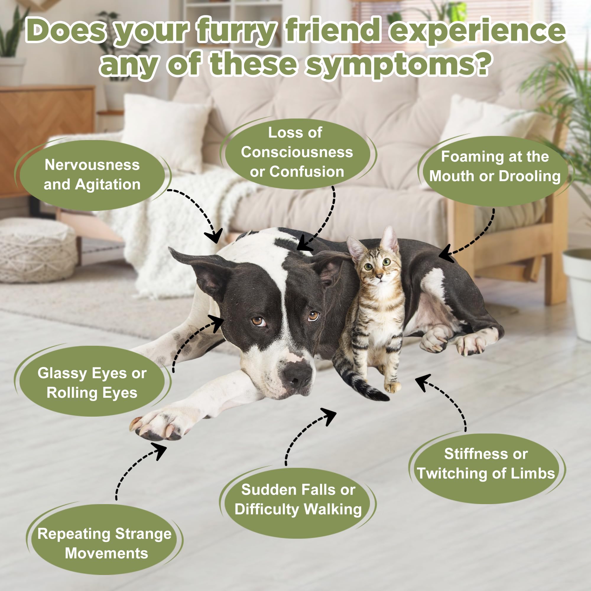OUREA pet being fed drops directly into mouth for easy administration.