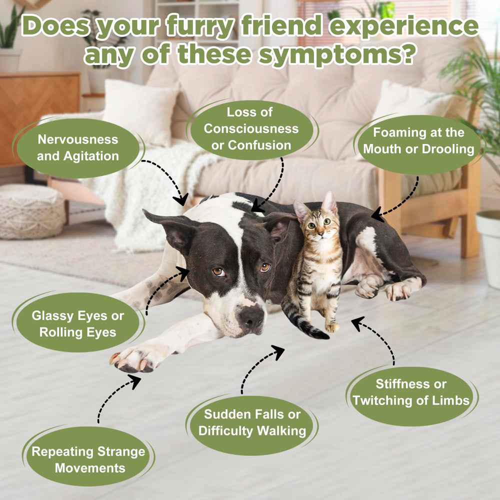 OUREA pet being fed drops directly into mouth for easy administration.