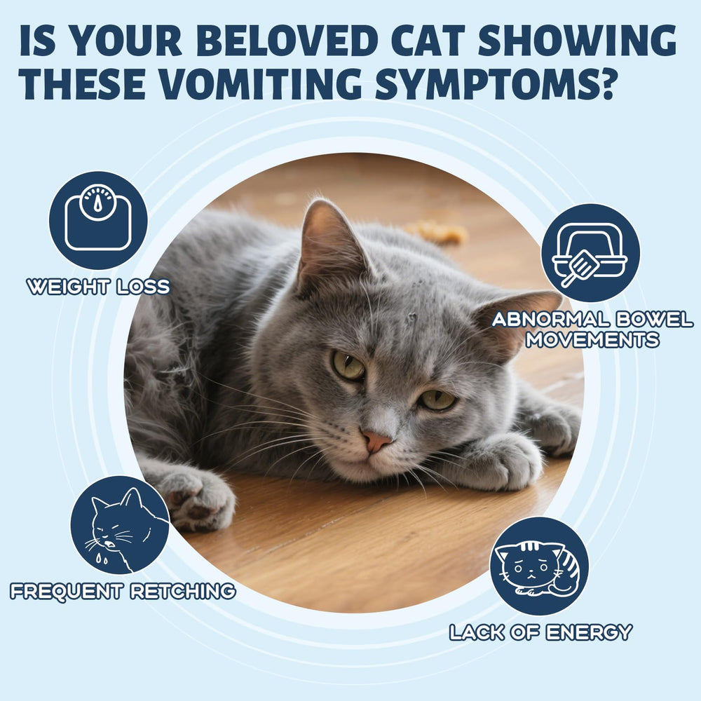 OUREA Probiotic Cat Powder close-up shows gut balance support for cats