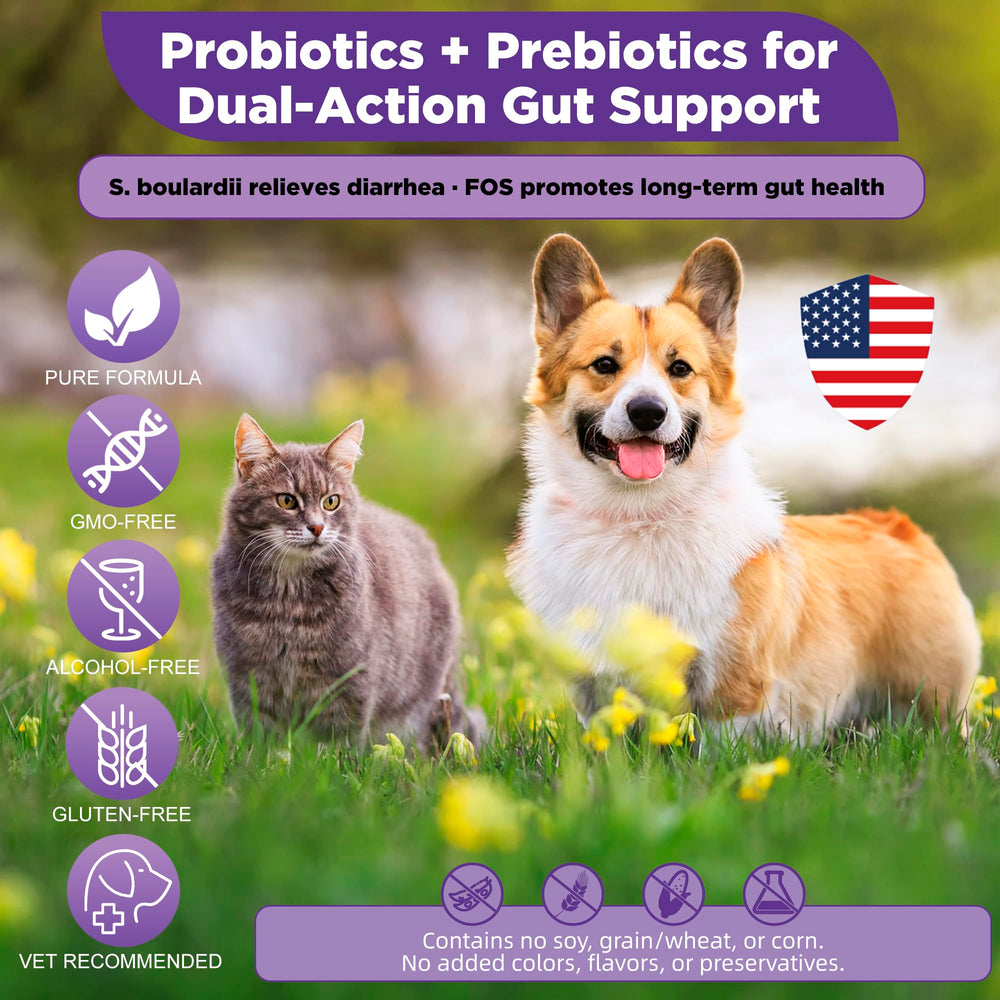 Ourea S.boulardii + FOS powder for dogs supports gut balance during meals.