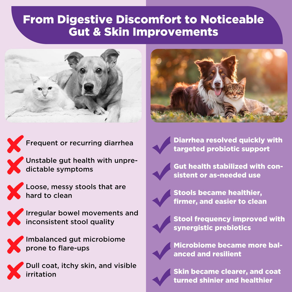 Ourea S.boulardii + FOS powder sprinkled on kibble aids digestion.