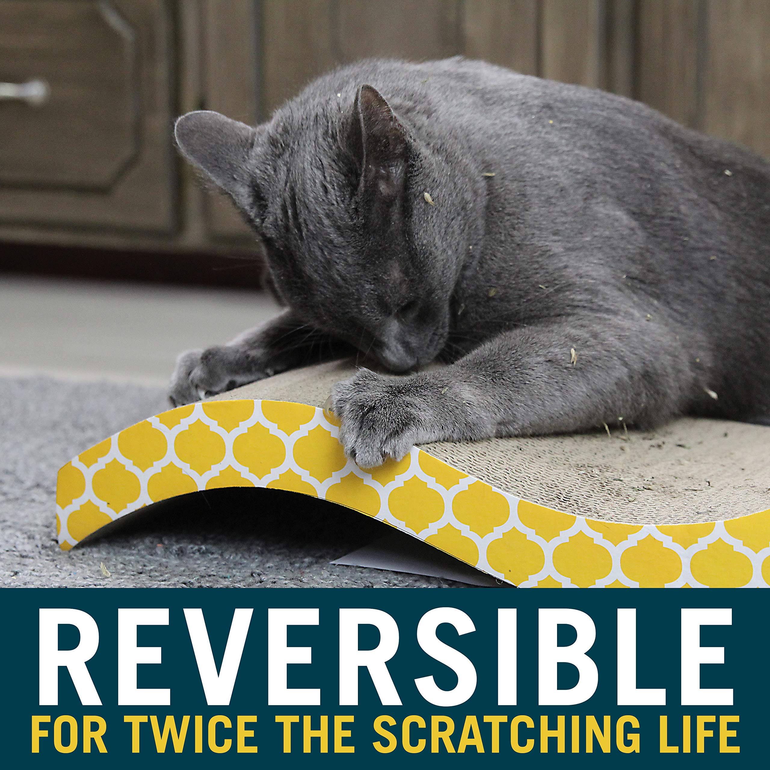 Our Pets Cosmic Catnip bag close-up demonstrates fragrant attractant to invite play.