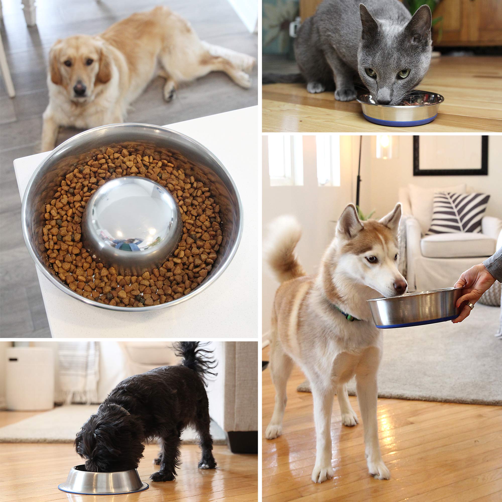 OurPets DuraPet bowl is dishwasher-safe for easy cleaning after meals.