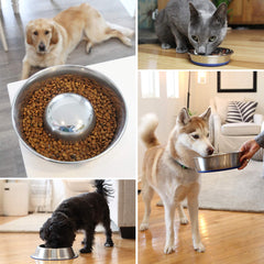 OurPets DuraPet bowl is dishwasher-safe for easy cleaning after meals.