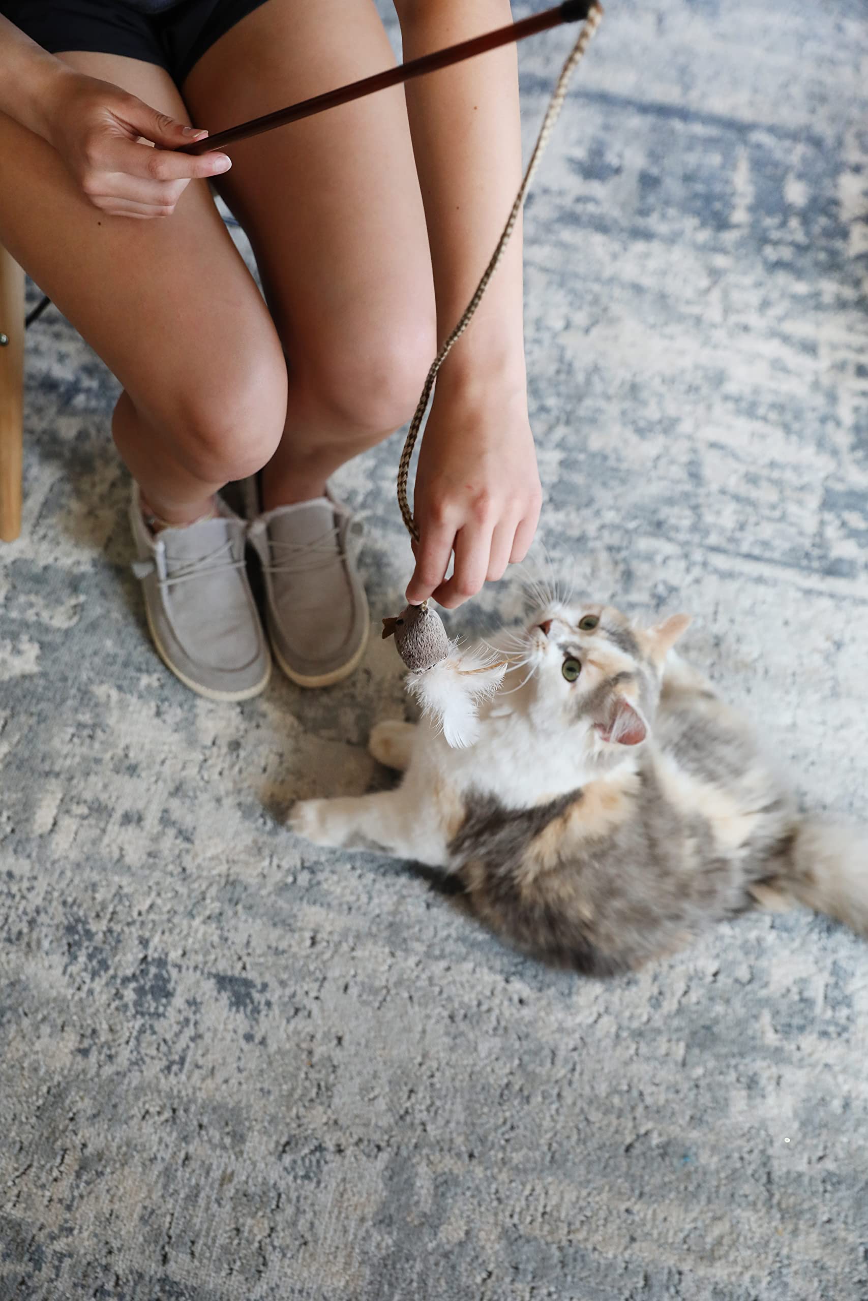 OurPets Play-N-Squeak wand delivers bird-chirp like feedback for engagement.
