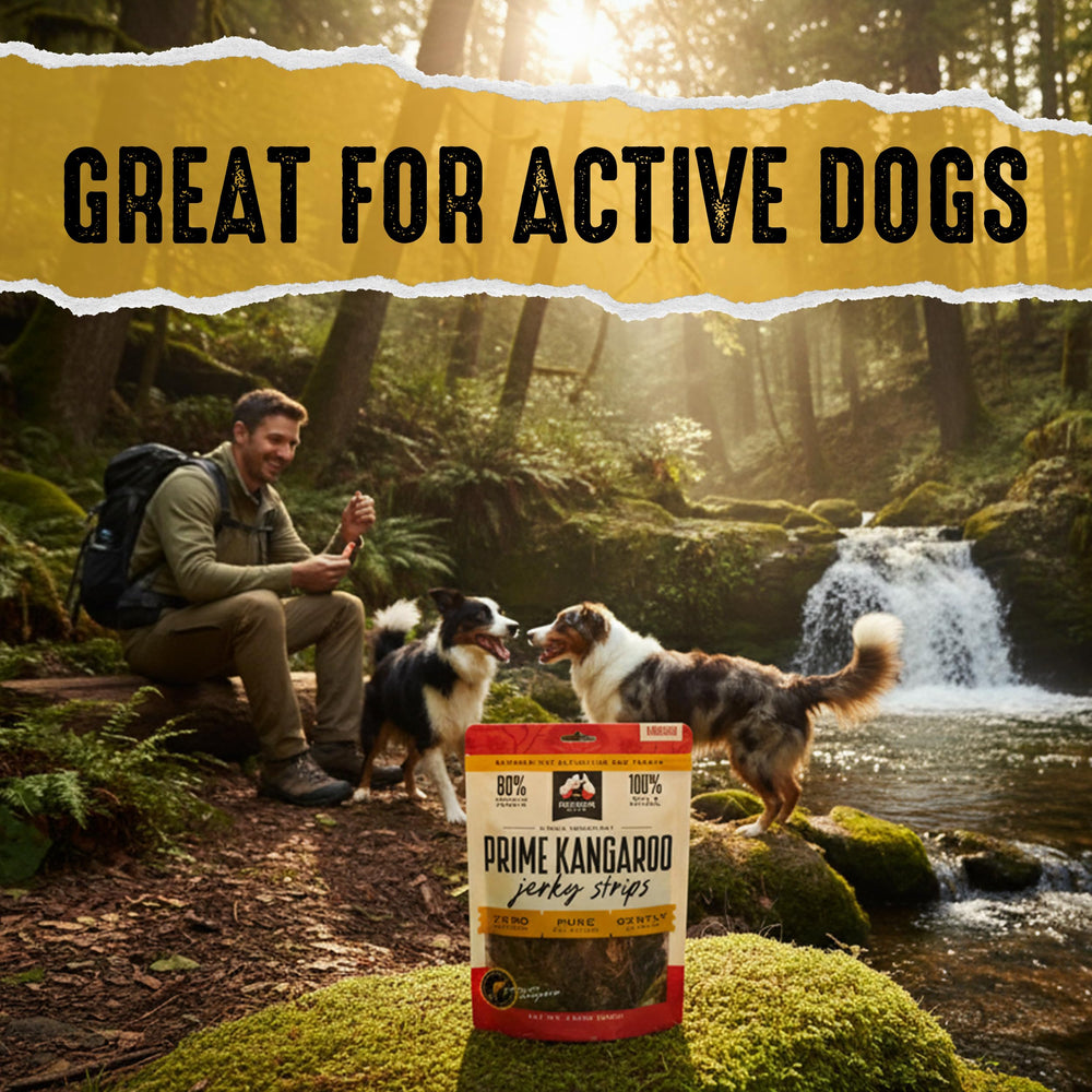 OUTBACK BONES Easy-digest treat image demonstrates gentle, breakable pieces for training.