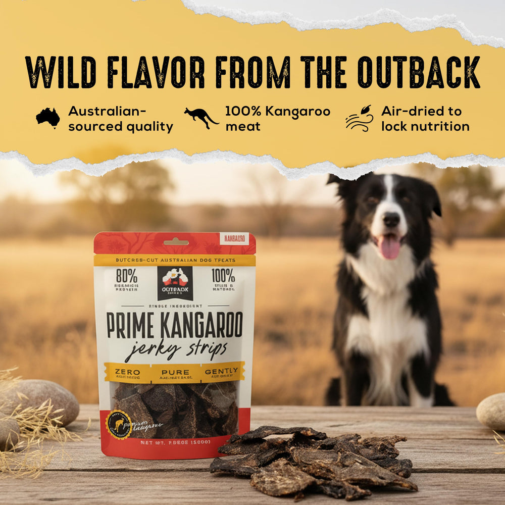OUTBACK BONES Kangaroo Jerky Strip single-ingredient focus supports simple nutrition for sensitive stomachs.