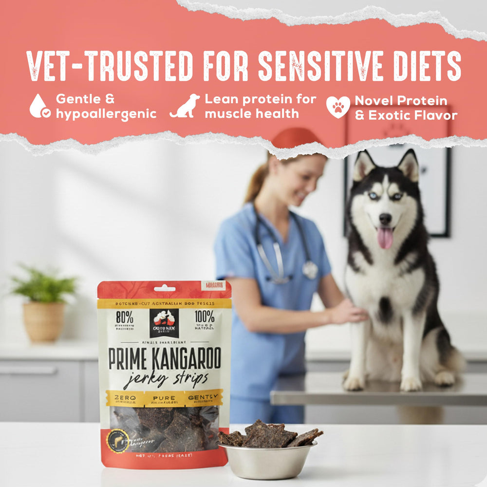 OUTBACK BONES Premium-quality packaging shows trusted natural dog treats.